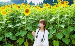 看了让人湿透的漫画